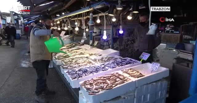 Hamsinin kilosu 40 lira