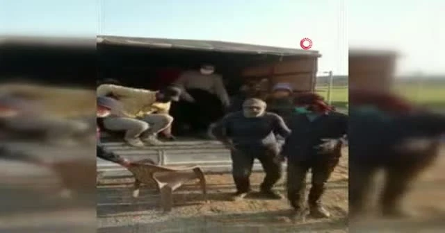 Kamyonetle balık istifi yolculuk
