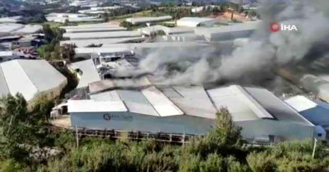 Mersin'de muz sarartma tesisinde yangın