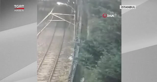Metronun elektrik tellerini çalacaklardı