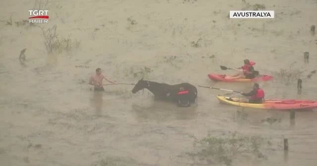 Sel felaketi hayatı felç etti