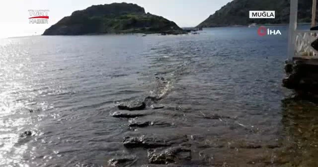 Sular çekildi, kral yolu ortaya çıktı