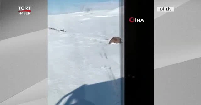 Susuz kalmayalım derken mahsur kaldılar