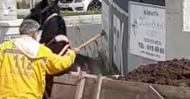 Yükü çekemeyen ata keserle vurdu