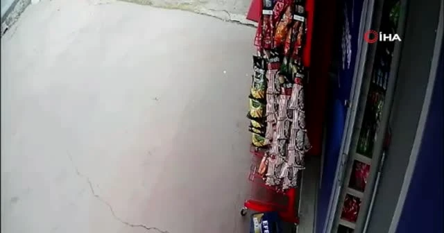 ‘Cips hırsızı’ karga, iş yeri sahibine yakalandı