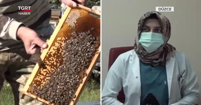 "Deli bal" yiyen kadın hastanelik oldu