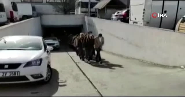 ‘Thodex’in firari sahibi Faruk Fatih Özer’in kardeşleri tutuklandı