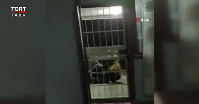 Adana'da kadına şiddet: Seni öldürsem de ben ceza yemem
