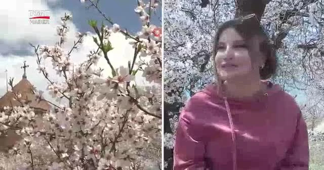 Akdamar Adası çiçek açtı