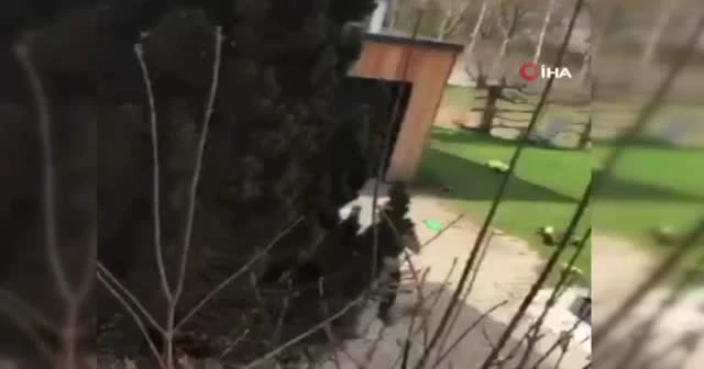 Alman polisi Alzheimer hastası Türk'ü ağır yaraladı