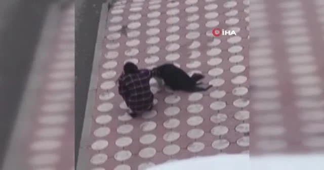 Batman’da üşüyen köpeğin üzerine montunu örttü