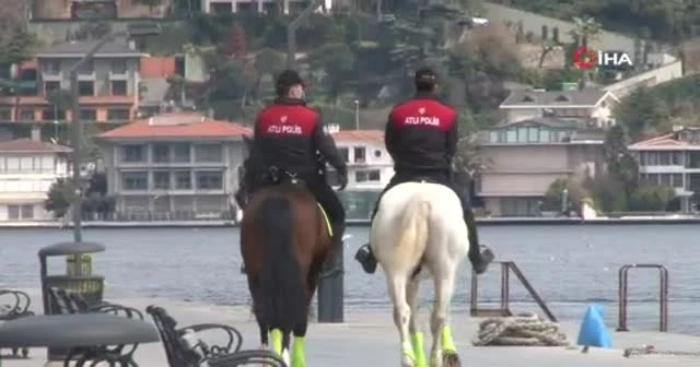 Bebek sahilinde şaşırtan görüntüler yaşandı, turistler telefonlarına sarıldı