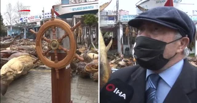 Belediye yılların müzesini yıktı