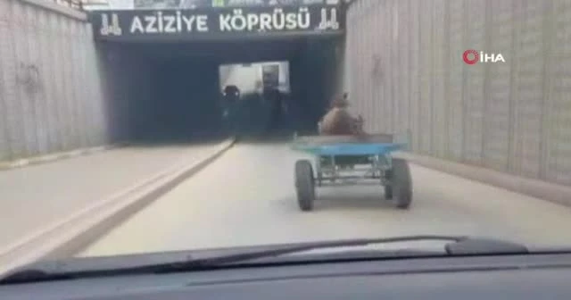 Dörtnala koşan at trafiği birbirine kattı