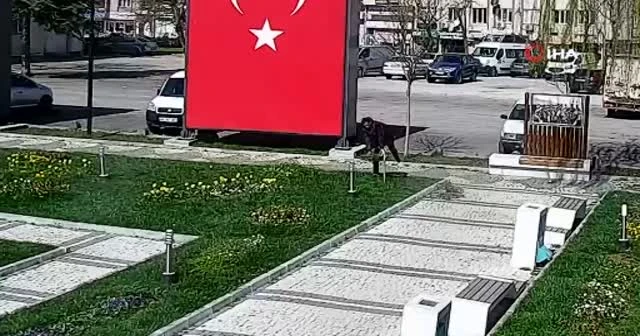 Her şey kamera kayıtları incelendiğinde ortaya çıktı
