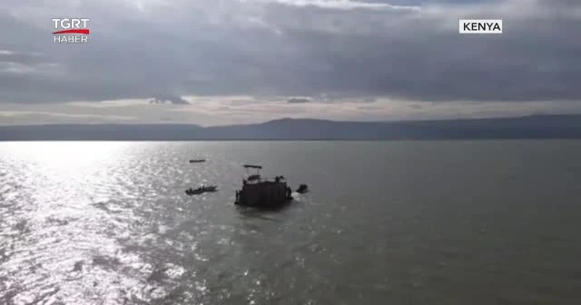 Mahsur kalan zürafalar böyle kurtarıldı