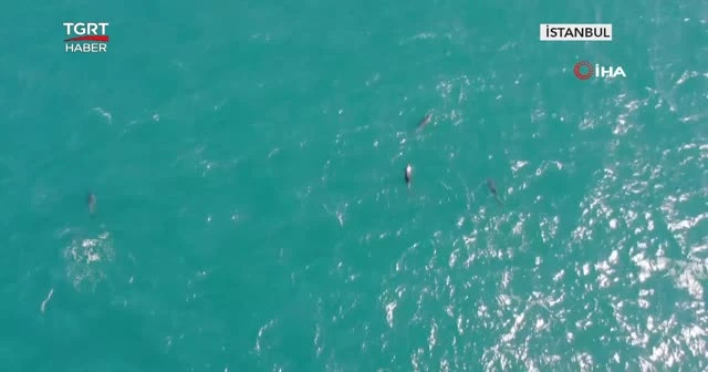 Nefes kesen yunus geçidi