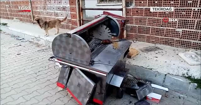 Patpat kokoreç arabasına daldı