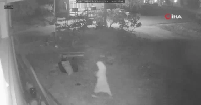 Sokak köpeğine bıçakla saldırdılar