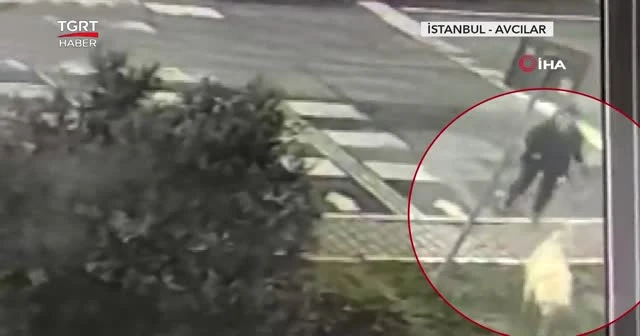 Tasmasından sürüklediği köpeği çaldı