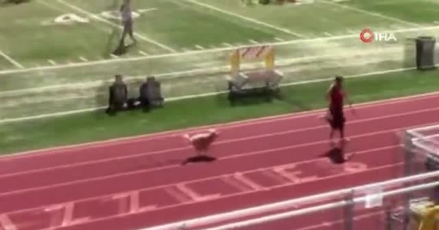 Tribünden atlayarak koşuya katılan köpek yarışmayı birincilikle bitirdi