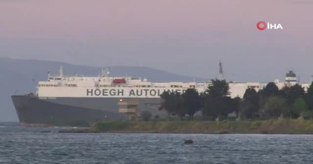 Tuzla'da gemi karaya oturdu