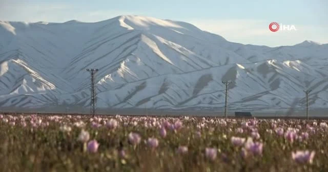 Yüksekova’da iki mevsim bir arada