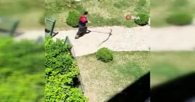 Çocuk parkında yılan paniğe neden oldu