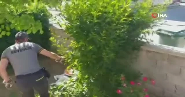 Evine girmek isteyen güvenlik görevlisine karga saldırdı