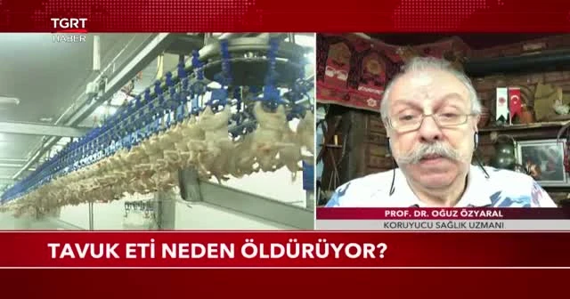 Tavuk eti neden öldürüyor?