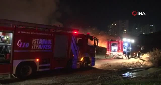 Bakırköy’de ağaçlık alanda yangın