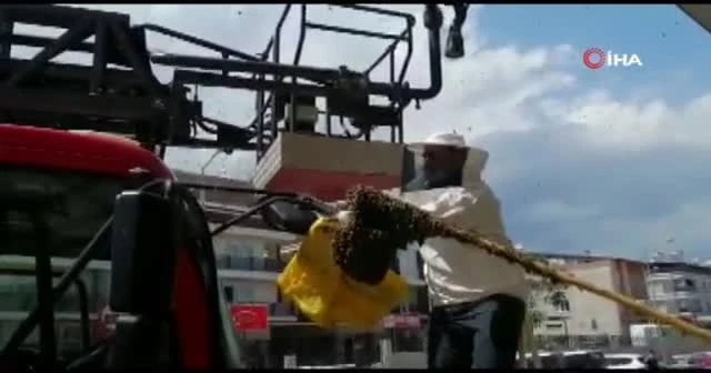Hastaneyi istila ettiler
