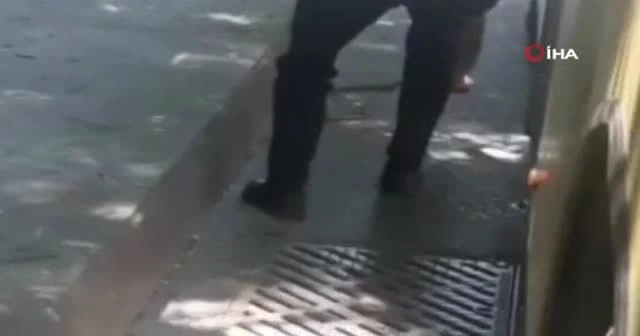 İETT otobüsünde yılan paniği