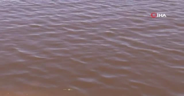 Küçükçekmece Gölü'nün rengi kızıla dönüştü