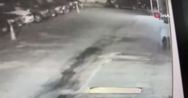Sarıyer'de vahşet: Yavru köpeği zehirli ok ile vurdu