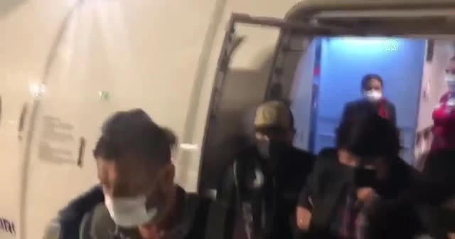 'Tosuncuk' Türkiye'ye getirildi