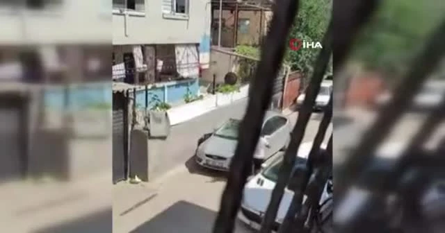 Adana’da kurbanlık keçi çatıdan düştü