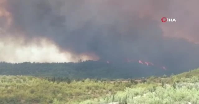 Antalya'daki orman yangını büyüyor
