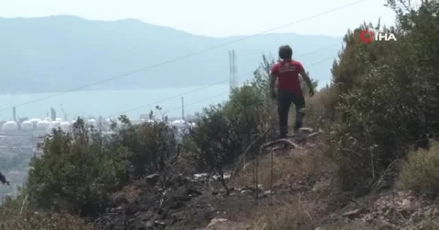 Çevreyi temizlemek isterken ormanı yaktı