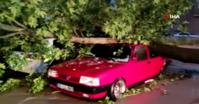 Edirne’de fırtına ağaçları araçların üzerine devirdi