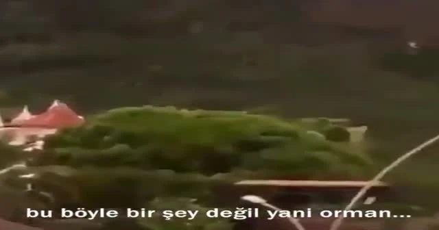 Marmaris'teki yangın vatandaş kamerasında: Biri ormanı ateşe verdi