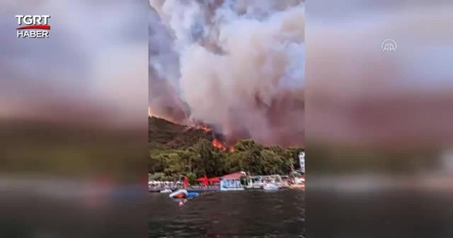 Muğla Marmaris'te orman yangını