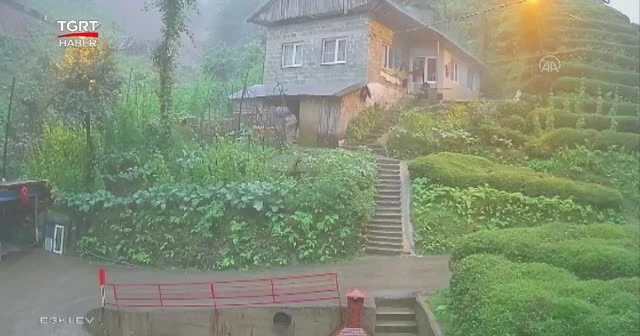Rize'de heyelan işte böyle geldi