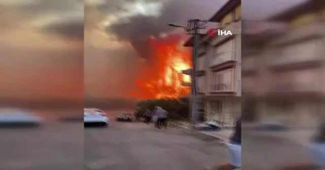 Yangın yerleşim yerlerine ulaştı...Panik anları kamerada