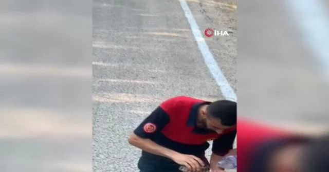 Yangından kaçan kaplumbağaya hayat suyu