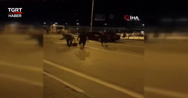 Bursa’da dikkat çeken kavga! Muz ağacı ile birbirine girdiler