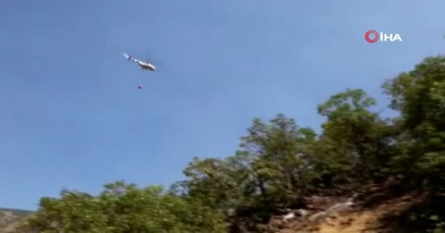 Ekipler canla başla görev aldı: Munzur Vadisi yangını kontrol altında