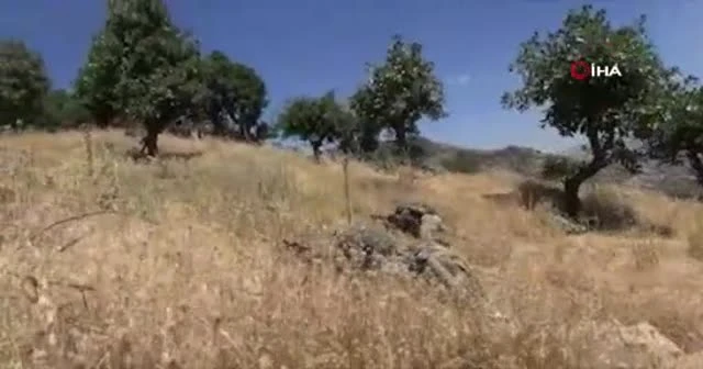 Fırat Kalkanı bölgesinde 2 terörist öldürüldü