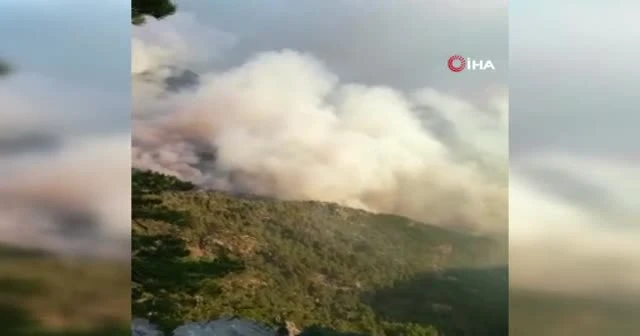 Kadın erkek eline küreği alan yangın bölgesine koştu