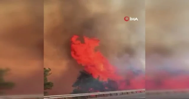 Kozalakların yangını nasıl büyüttüğü kamerada